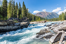 Fluor reaches LNG project milestone